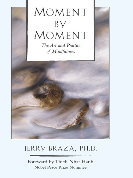Title details for Moment by Moment by Jerry Braza - Available